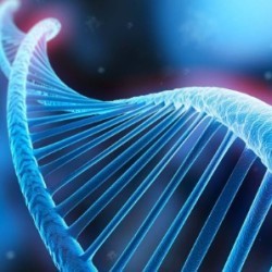 生物科技、細胞領域新業態講座