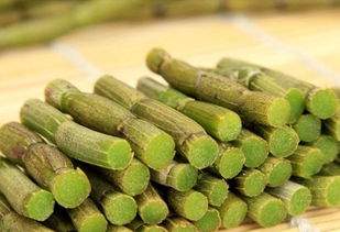 豐潤萊生物科技專業供應鐵皮石斛鮮條 優質鐵皮石斛鮮條