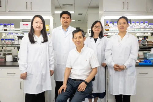 重大突破刷屏 中國實(shí)現(xiàn)二氧化碳合成淀粉,背后的合成生物技術(shù)是什么來頭