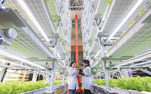 安徽新聞 安徽惟一重點新聞門戶網站