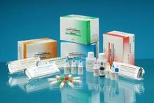 人N-乙酰-β-D-氨基葡萄糖苷酶(NAG) ELISA試劑盒免費(fèi)技術(shù)指導(dǎo) - 上海信帆生物科技