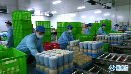 云霄 生物科技助力穩(wěn)產(chǎn)保供，讓市民“菜籃子”拎得更穩(wěn)