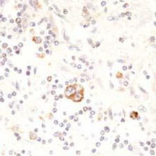 北京康為世紀(jì)生物科技 引領(lǐng)前沿生物科技，賦能健康未來(lái)